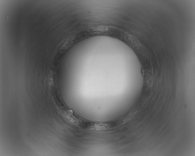 X0000073470758200608181331
