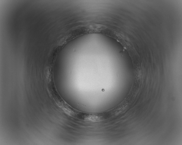 X0000073470759200608181331