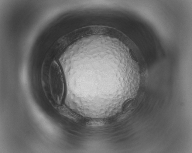 X0000073470765200608181331