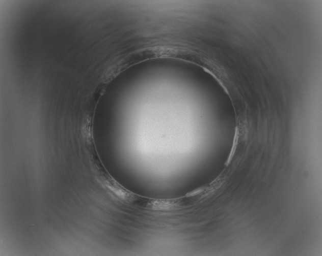 X0000073470766200608181331