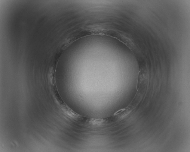 X0000073470767200608181331