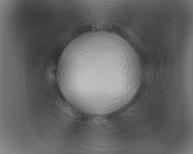 X0000073470770200608181330