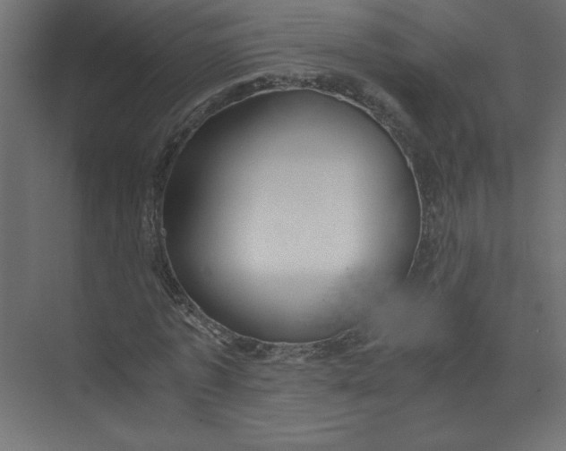 X0000073470773200608181330