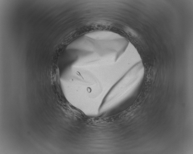 X0000073470774200608181330