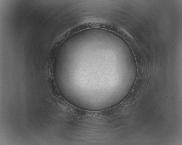 X0000073470775200608181330