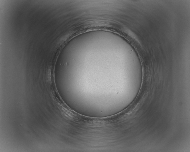 X0000073470777200608181330