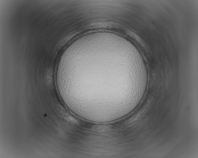 X0000073470778200608181330
