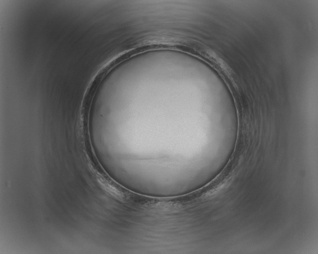 X0000073470779200608181330