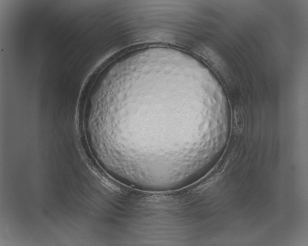 X0000073470780200608181330