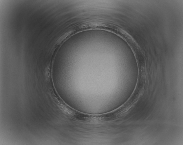 X0000073470785200608181330