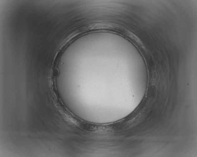 X0000073470786200608181330