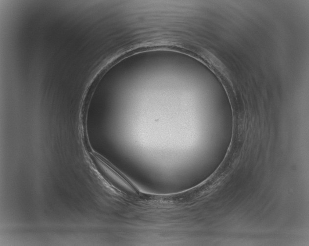 X0000073470789200608181330