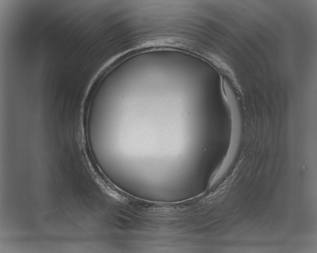 X0000073470792200608181330