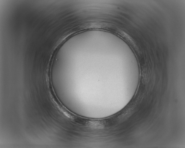 X0000073470794200608181330