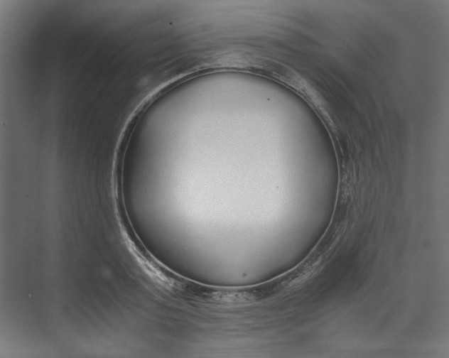 X0000073470795200608181330