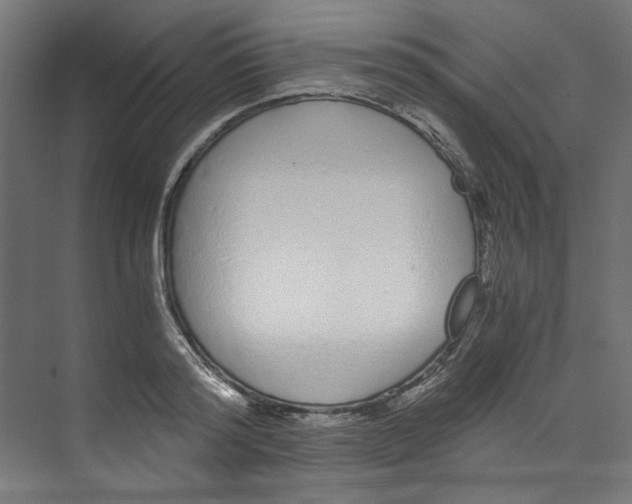 X0000073470796200608181330