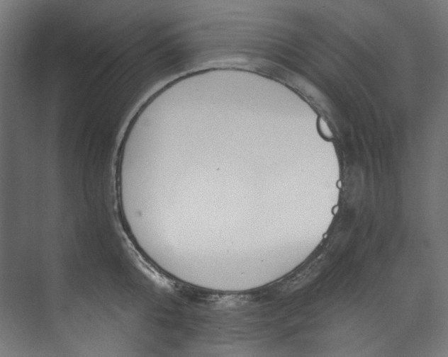 X0000073470808200608181329