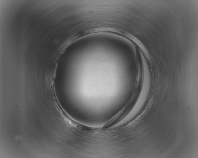 X0000073470809200608181329