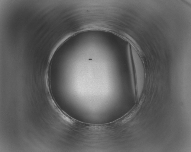 X0000073470812200608181329