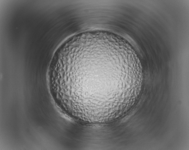 X0000073470814200608181329