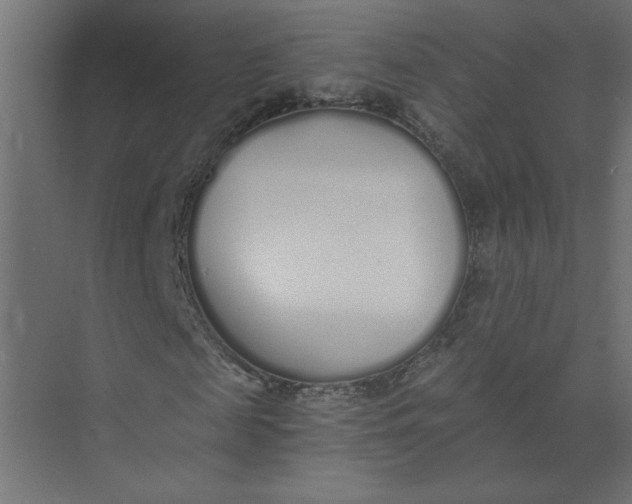 X0000073470817200608181328