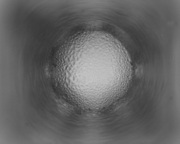 X0000073470819200608181328