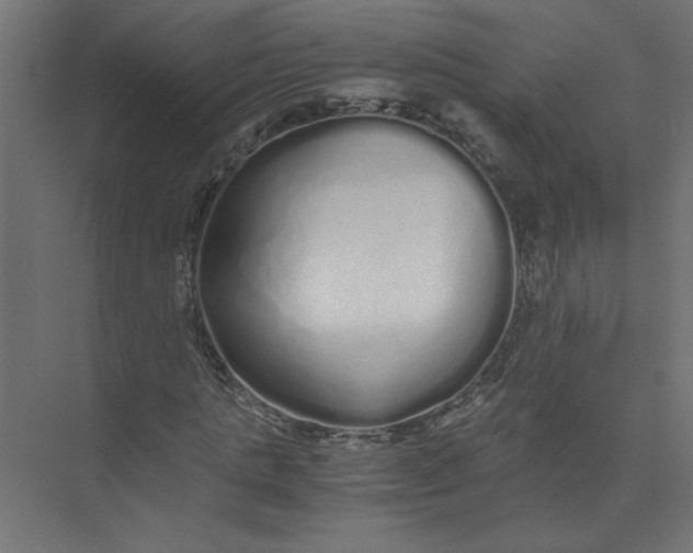 X0000073470821200608181329