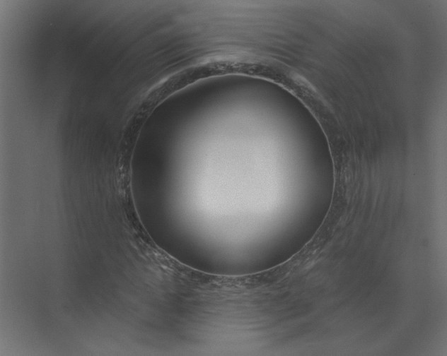 X0000073470822200608181329