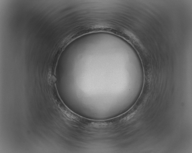 X0000073470825200608181329