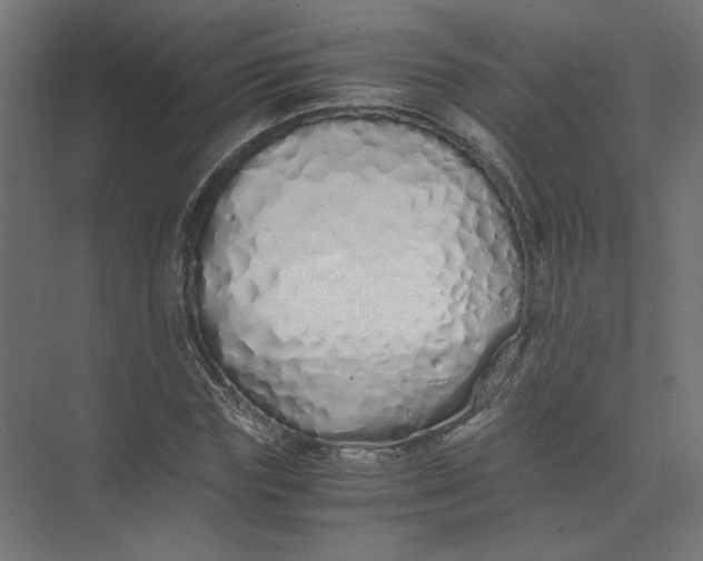 X0000073470827200608181329