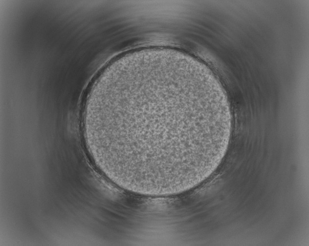 X0000073470828200608181329