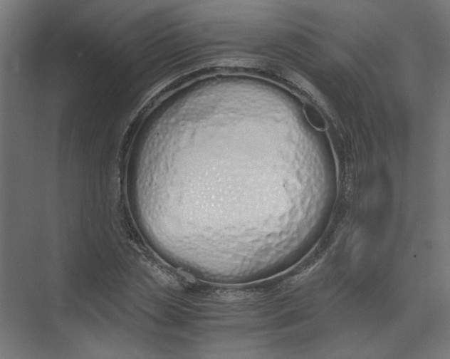 X0000073470829200608181329
