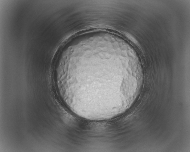 X0000073470831200608181329