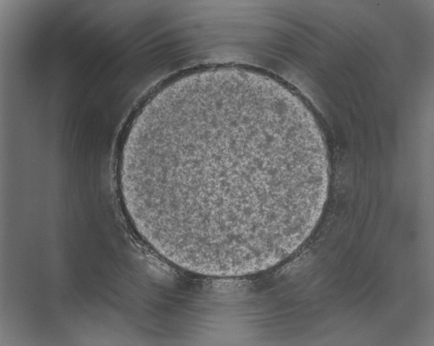 X0000073470832200608181329