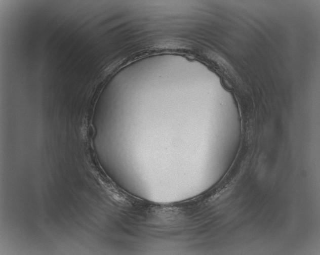 X0000073470833200608181329