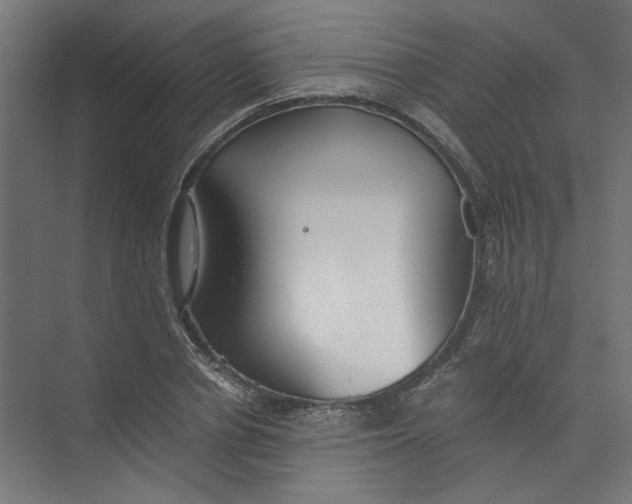 X0000073470834200608181329