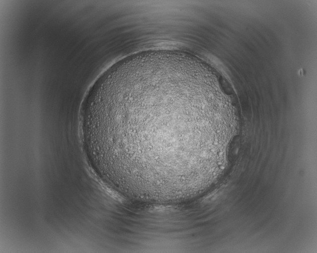 X0000073470835200608181329