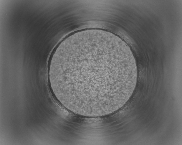 X0000073470836200608181329