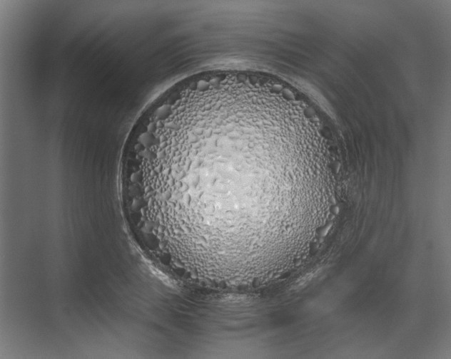 X0000073470839200608181329