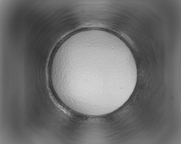 X0000073470840200608181329