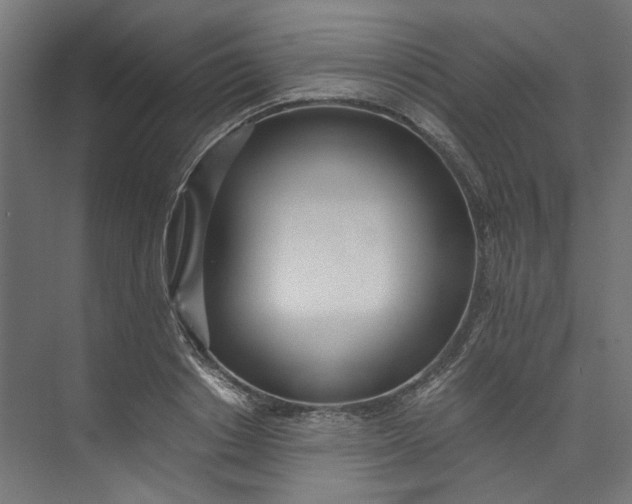 X0000073470842200608181329