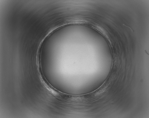 X0000073470843200608181329