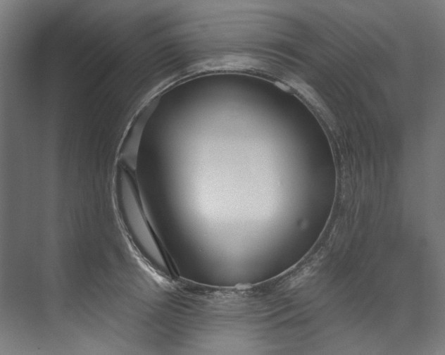 X0000073470850200608181329
