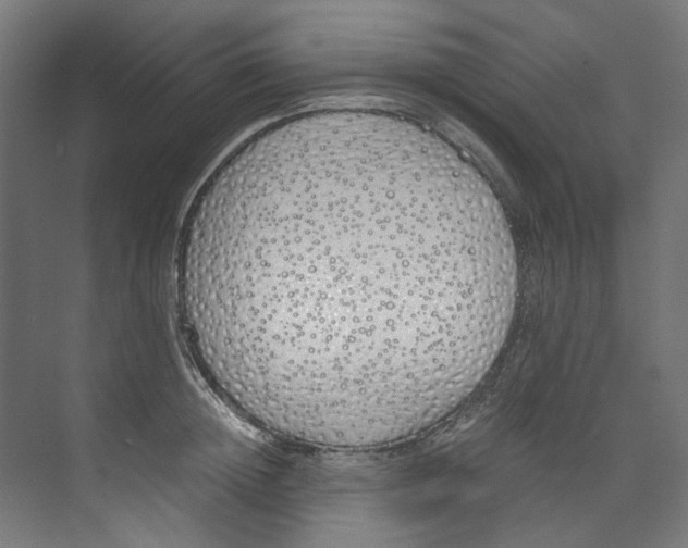X0000073470852200608181329