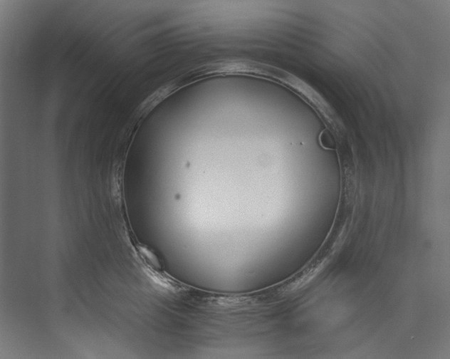 X0000073470857200608181329