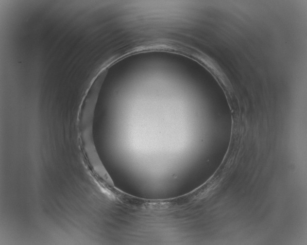 X0000073470858200608181329