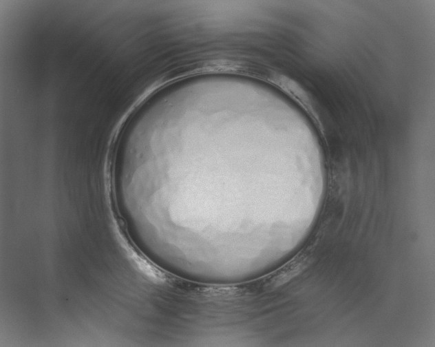 X0000073470859200608181329