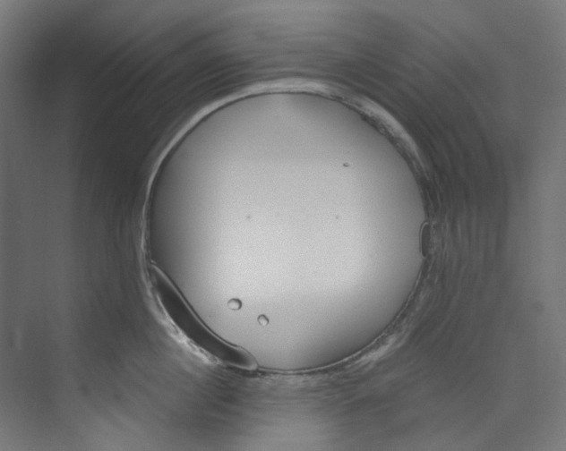 X0000073470860200608181329