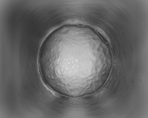 X0000073470863200608181329