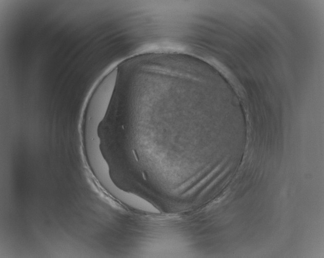 X0000073470864200608181329